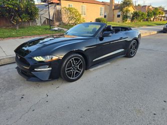 2019 Ford Mustang