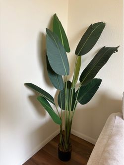 Indoor Faux Plant