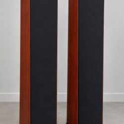 Platinum Speakers