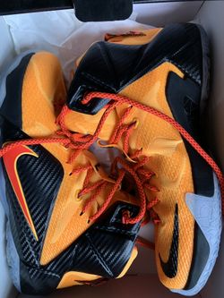 Lebron The Twelve size 10. Like new, worn once