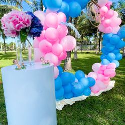 Gender Reveal Decoration Revelacion Del Sexo Fiesta