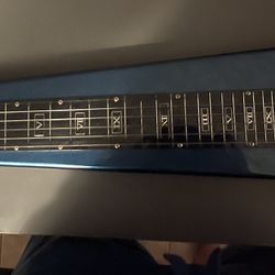 Rogue Lap Steel Guitar