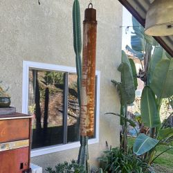 Wind Chime 