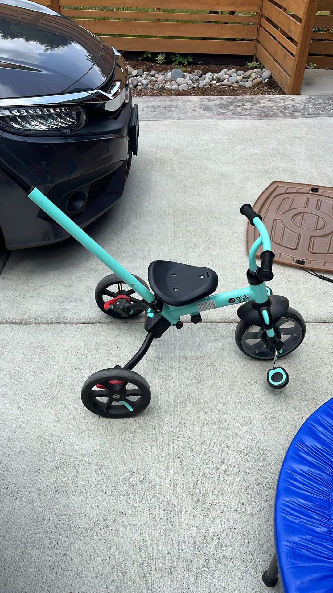Cute Tricycle