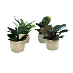 Set Of Four Potted Artificial Succulents 