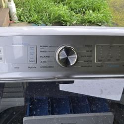 GE Profile Washer