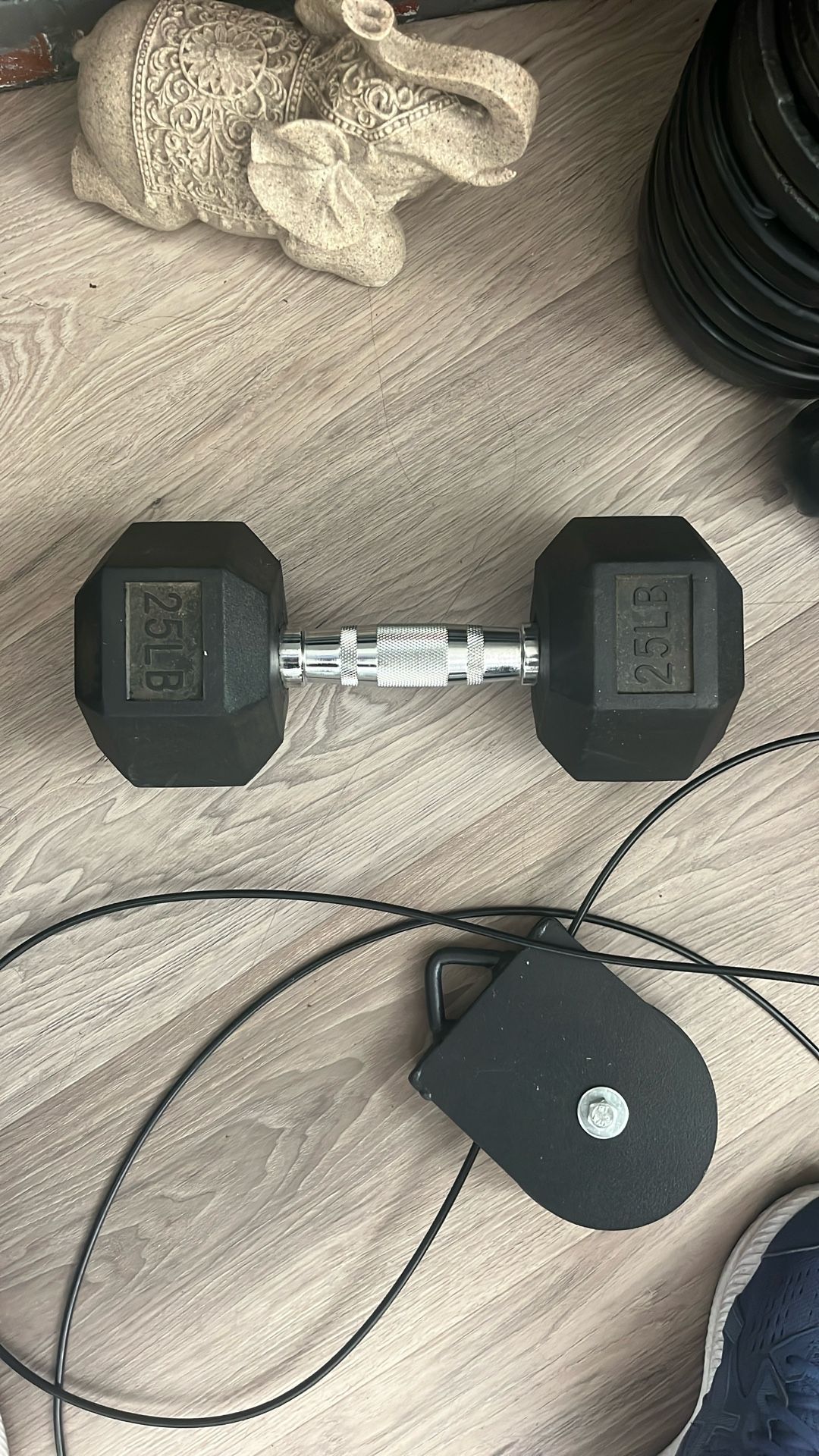1, 25lb Dumbbell