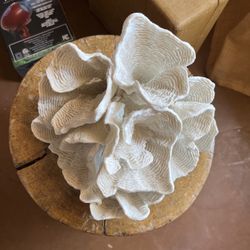 Large resin coral decorative
