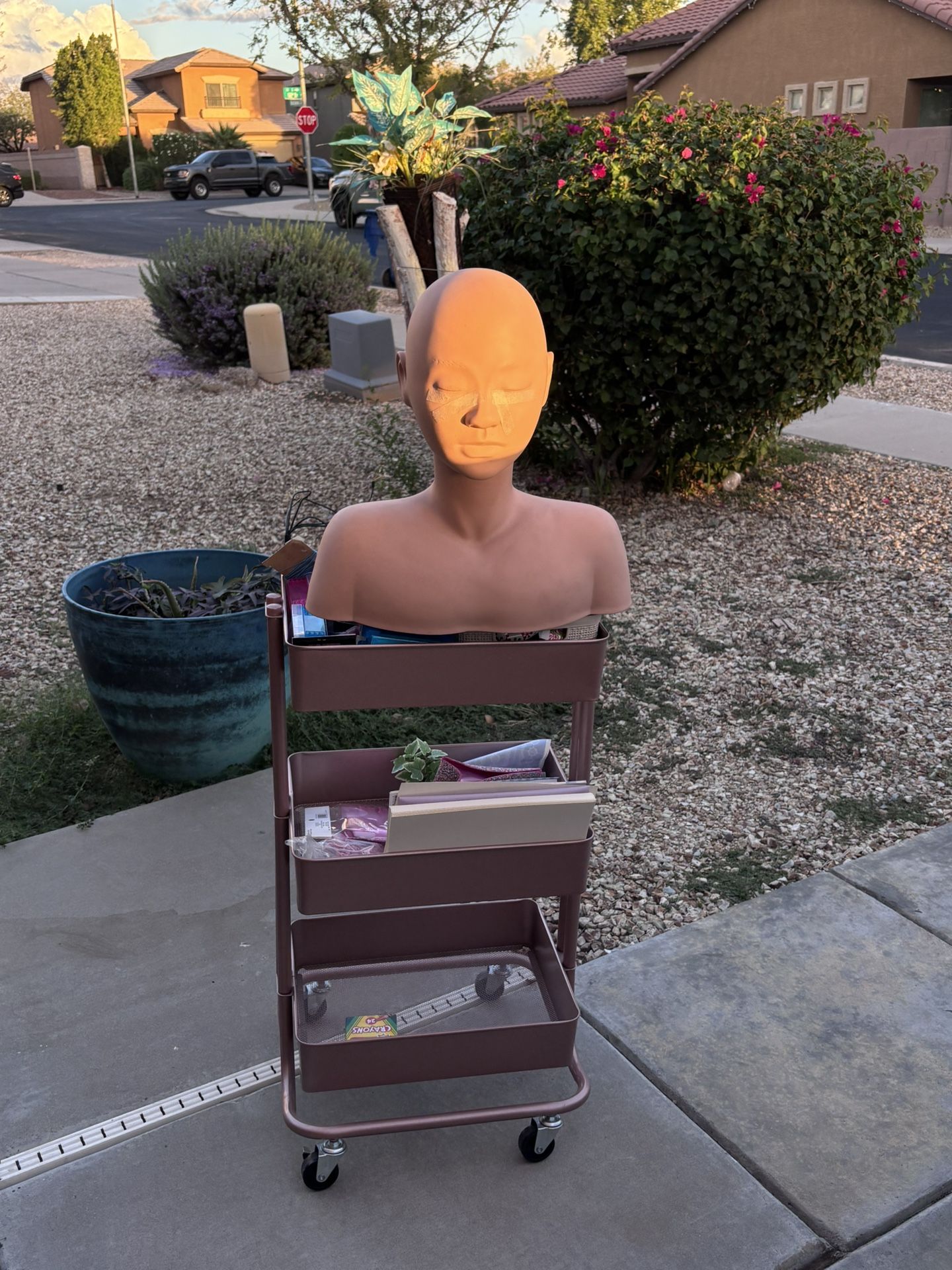 💆♀️ Esthetician Training Set – Practice Mannequin Head + Rolling Storage Cart 💆♀️ $85 (for both)