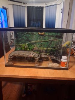 10 gallon fish tank with lizard accessories