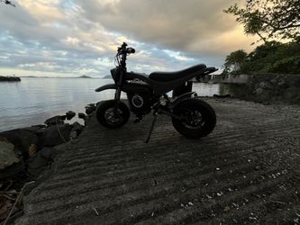 burro max for sale tt1600