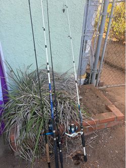 Cañas de pescar / Fishing 🎣 and box for fishing things