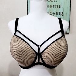 Freya Black and Tan Striped Underwire Padded 36I Bra