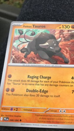 Pokémon