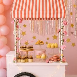 Custom Built Wooden Vendor Cart with Removable Shade