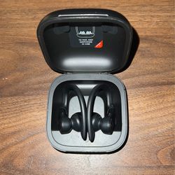 Beats Powerbeats Pro Wireless Earbuds 