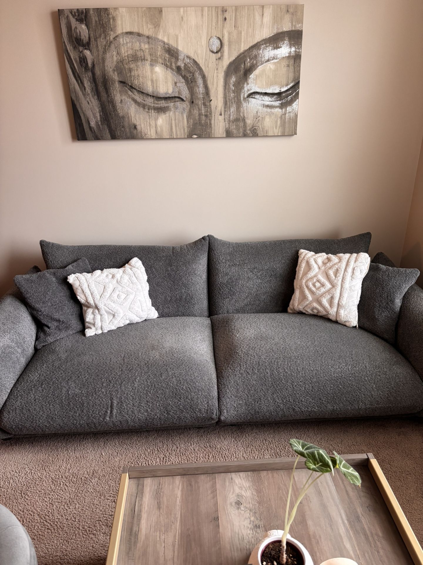 Modern Grey Couch 
