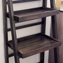 Bookshelf Ladder