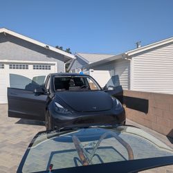 2024 -2025 Tesla Y OEM Windshield 