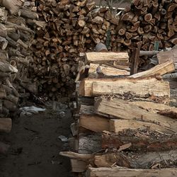 Firewood