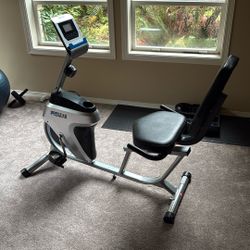 Pro gear Recumbent Exercise Bike