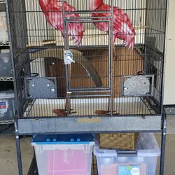 Large Bird Cage