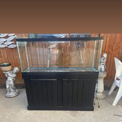 Fish Tank, Two Heaters, and Stand $80 o.b.o