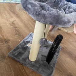 For cat