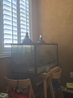 Bearded Dragon tank with Lights