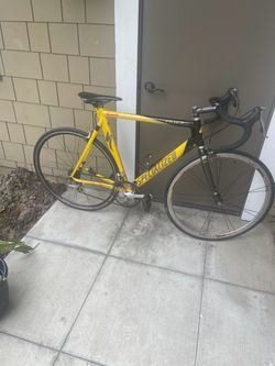 Specialized