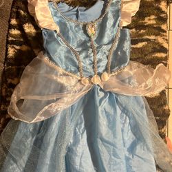 Cinderella Costume