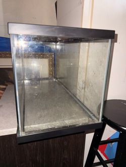 20 Gallon Breeder Tank
