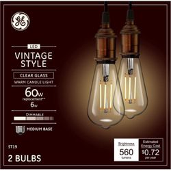 GE Vintage 60-Watt EQ ST19 Warm Candle Light Dimmable Edison Bulb Light Bulb (2-Pack)