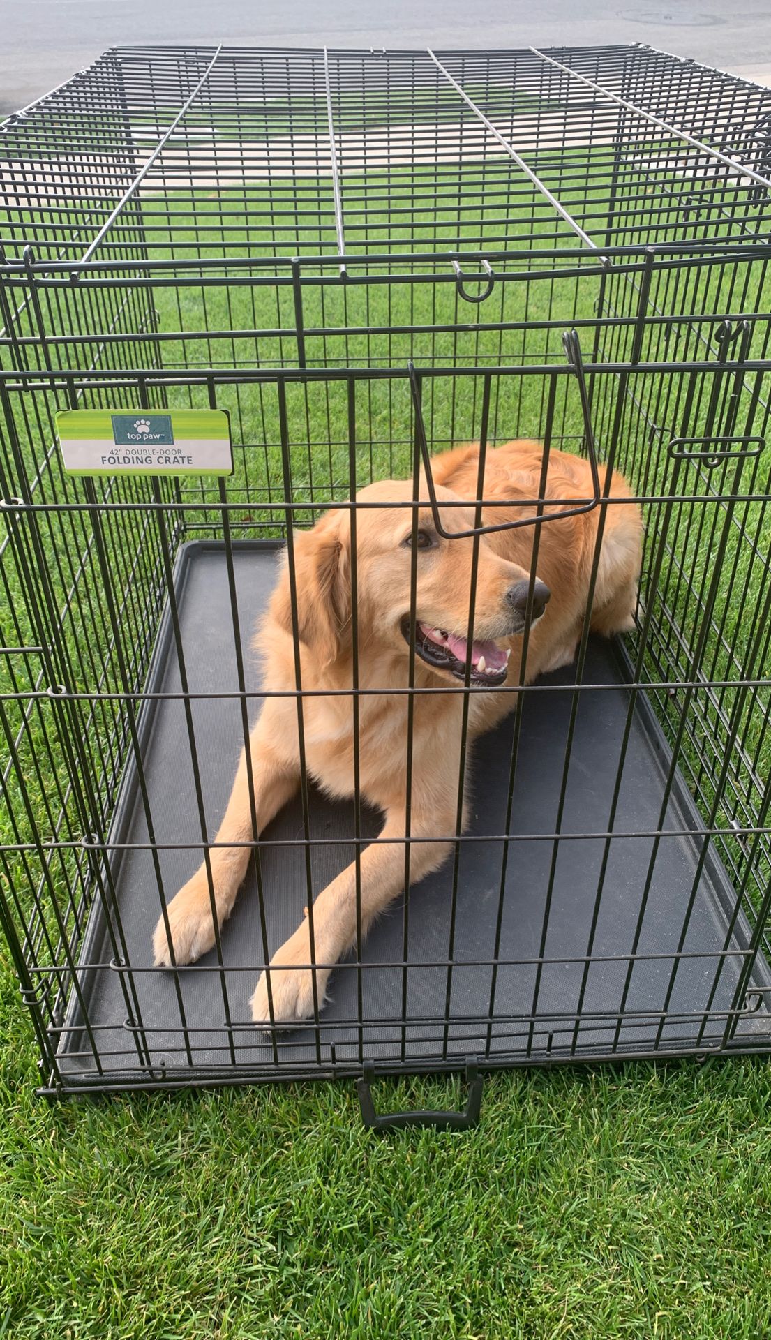 Foldable kennel