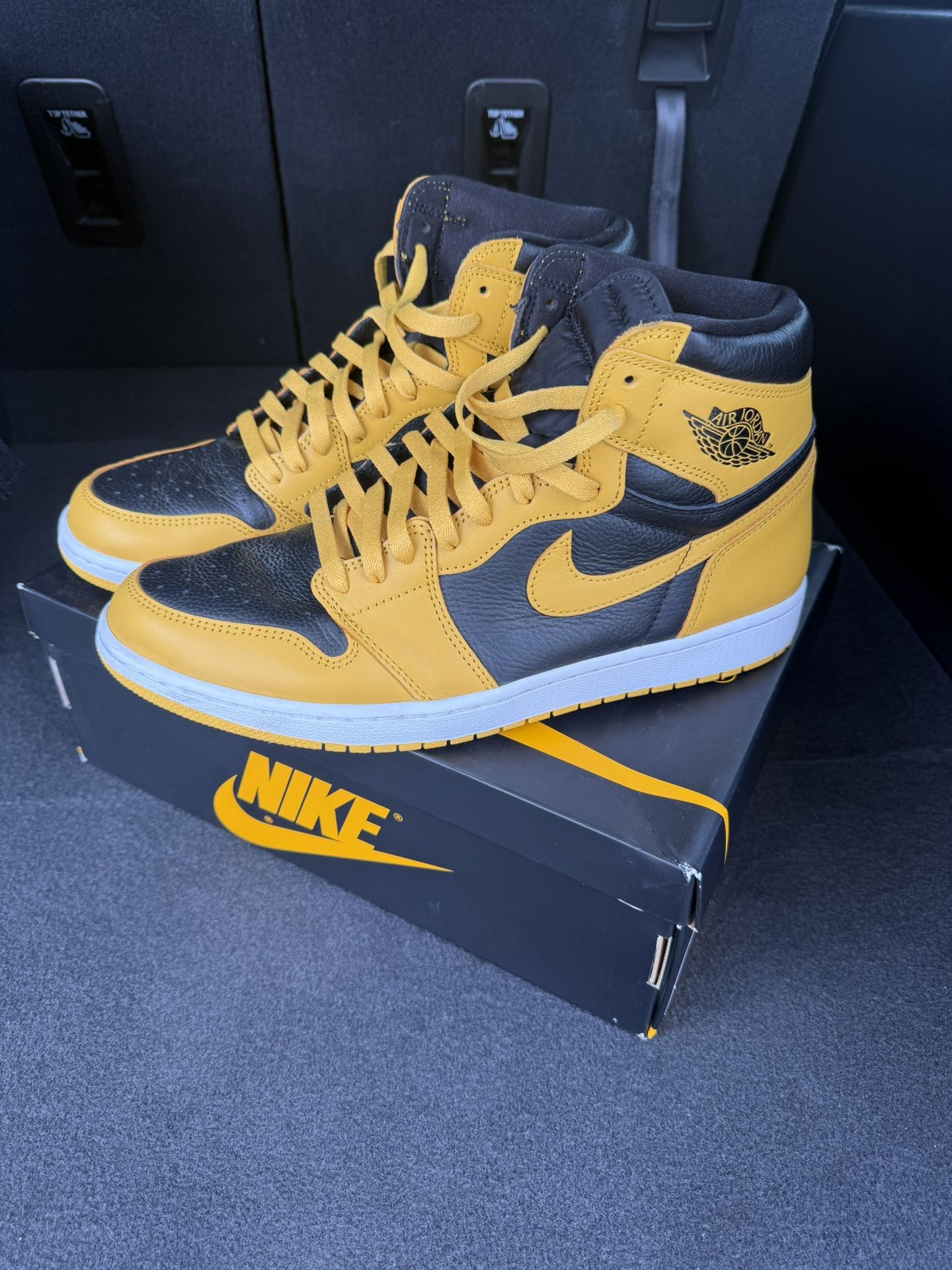 Pollen Jordan 1