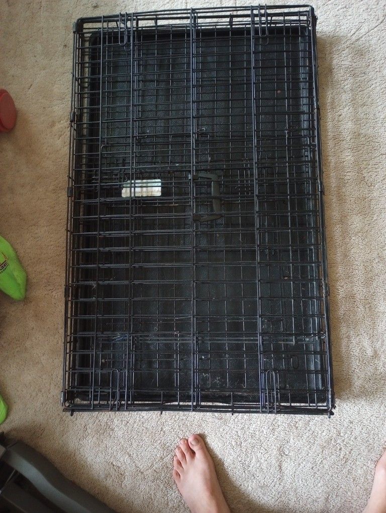 Medium Dog Crate