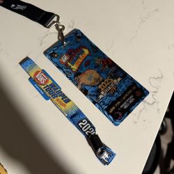 2 Day VIP ticket for warped tour long beach 