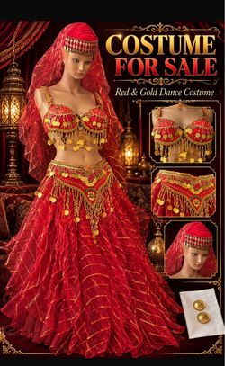 Belly Dance Costume