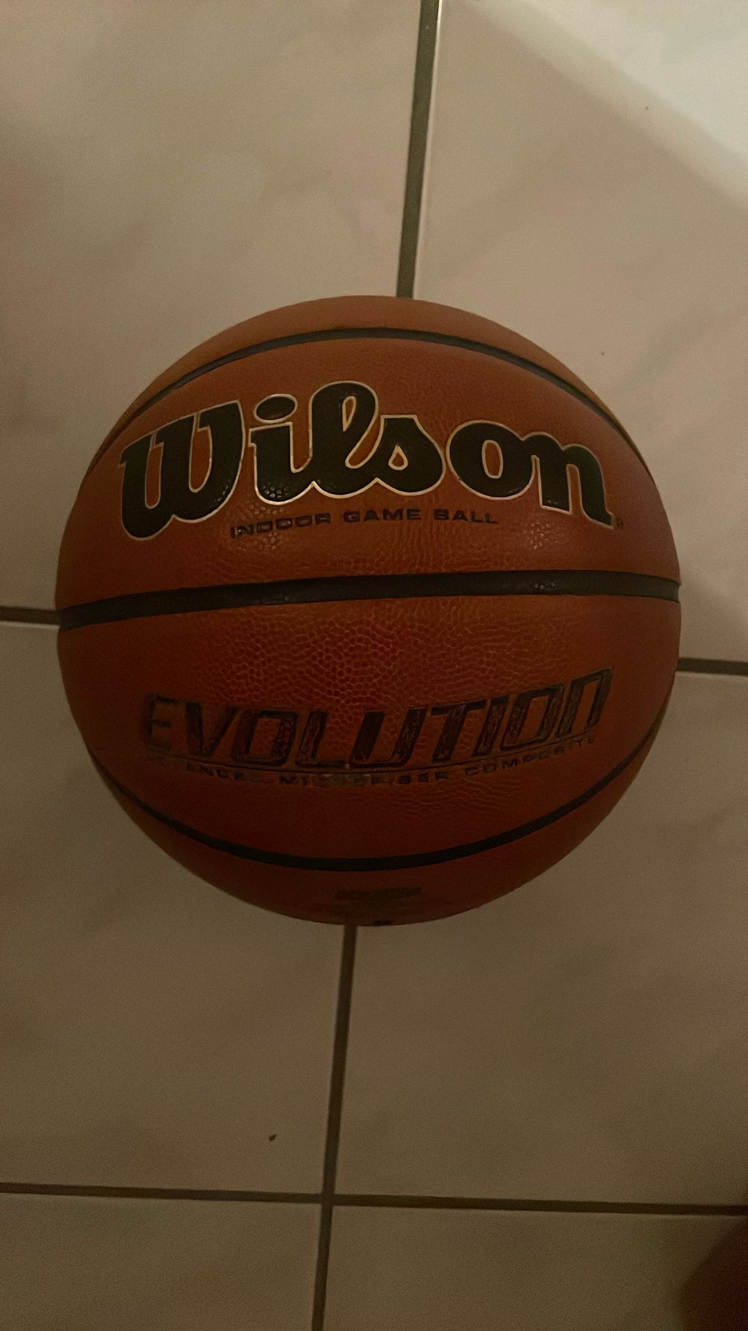 Wilson Evolution Basketball 