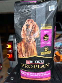 Dog food