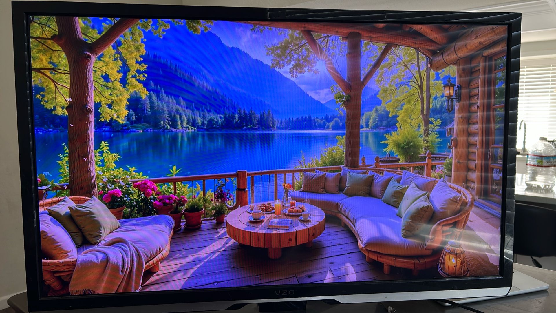 42 Inch Vizio TV