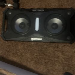 Gemini Speaker