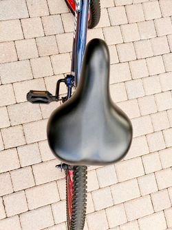 Schwinn falcon cheap 18