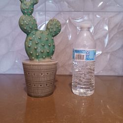 Ceramic Succulent Decor