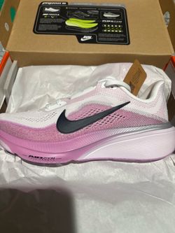 Nike pegasus 42