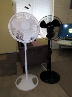 Pedestal Fans