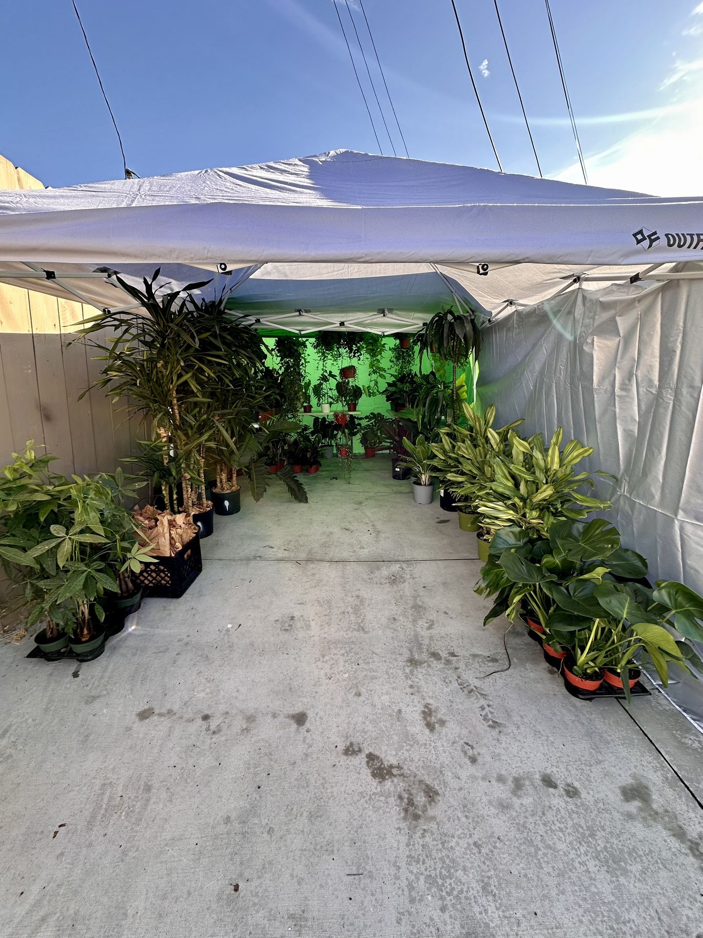 DnA Plant Sale💚🪴🎉