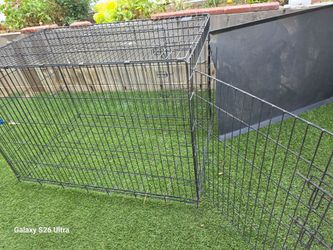 Dog kennel