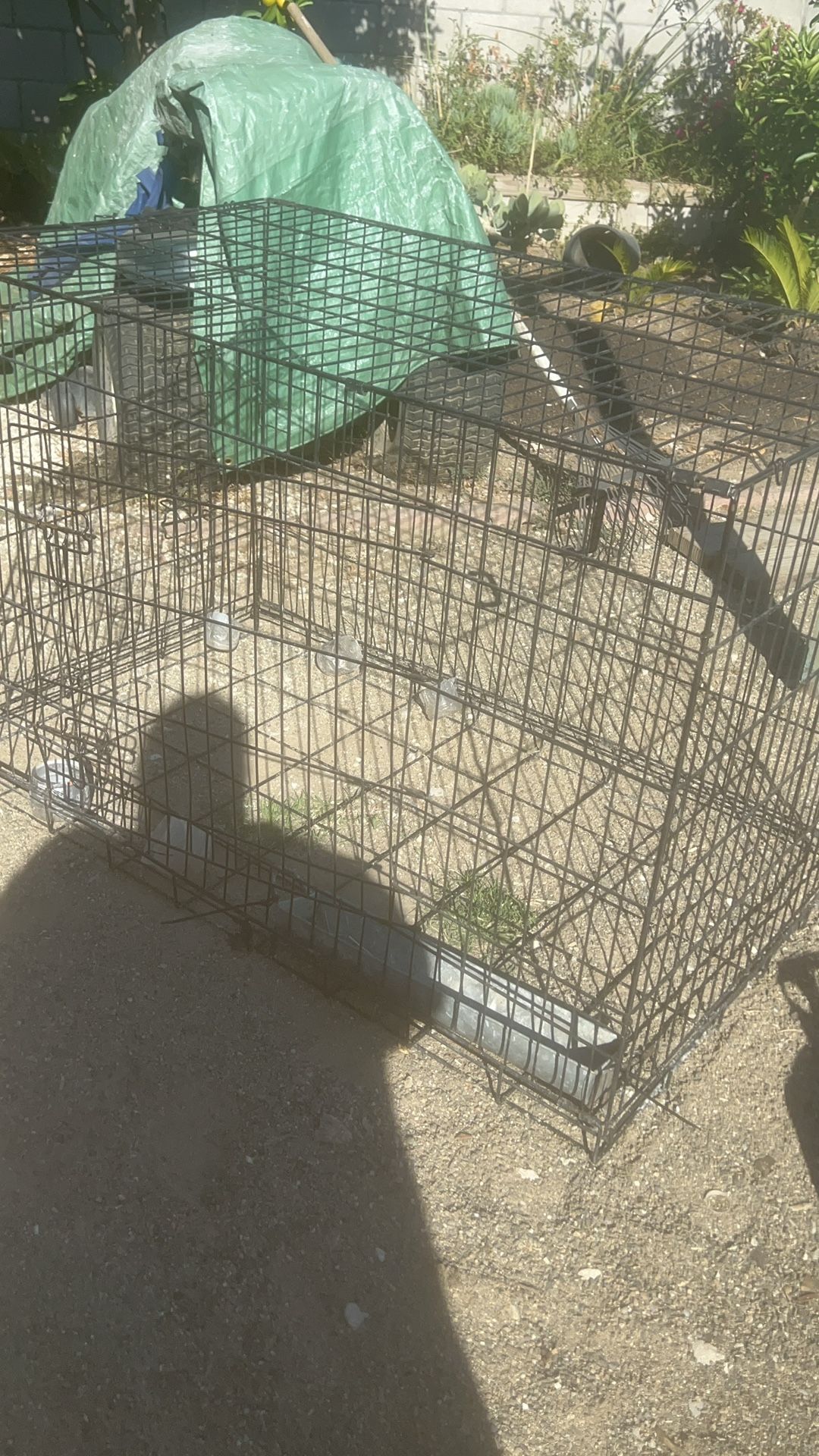 Big Dog Cage Or Bird