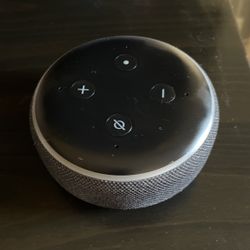 amazon echo